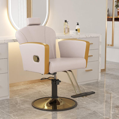 Salon Chair For Hair Stylist,Barber Chair For Home Barbershop With Professional Hydraulic Pump -White/Gold