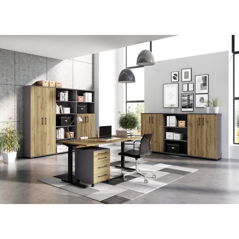 Chien 122.7cm H x 80.1cm W Standard Bookcase, Graphite