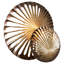 Spatial Wall Sconce