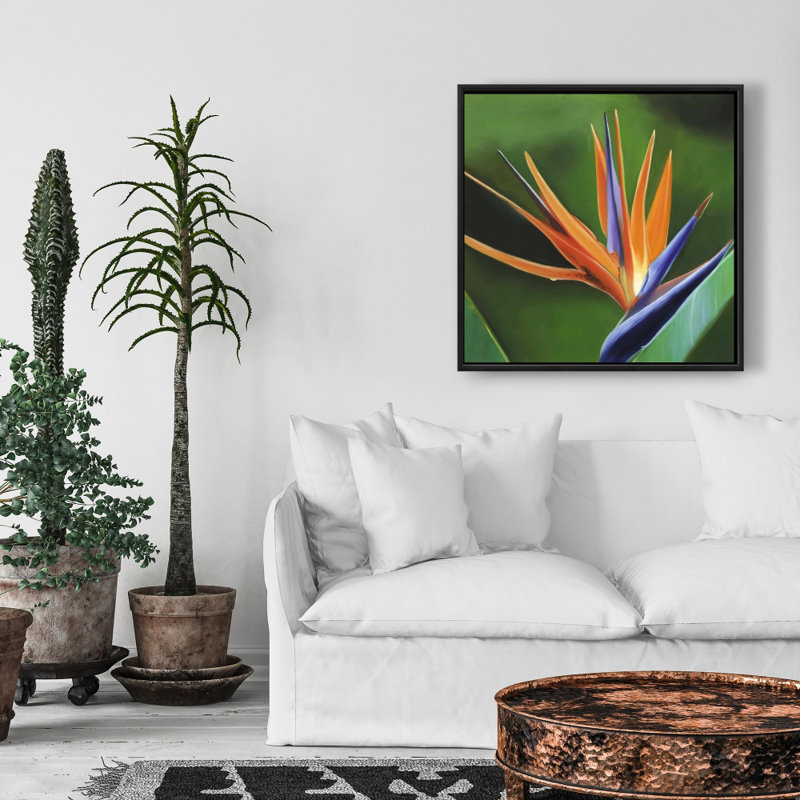 «Bird Of Paradise Flower»