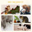Arbre à chat Pawhut 47 po, centre d'activités pour chat, jouet d'escalade avec peluches de quenouilles, lit, condo, poteau à griffes en sisal et ballon suspendu, naturel