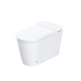 Subway 5911cs01 Intelligent Toilet With Bidet Seat, Heated Seat, Auto Open/close Lid
