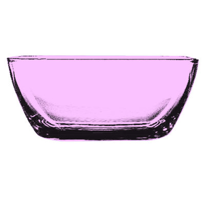 Polycarbonate Bowl - 12 Pieces