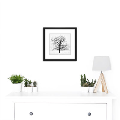 Lone Tree Winter Frost Snow Black White - Single Picture Frame Print