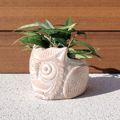 Arceo Handmade Pot Planter