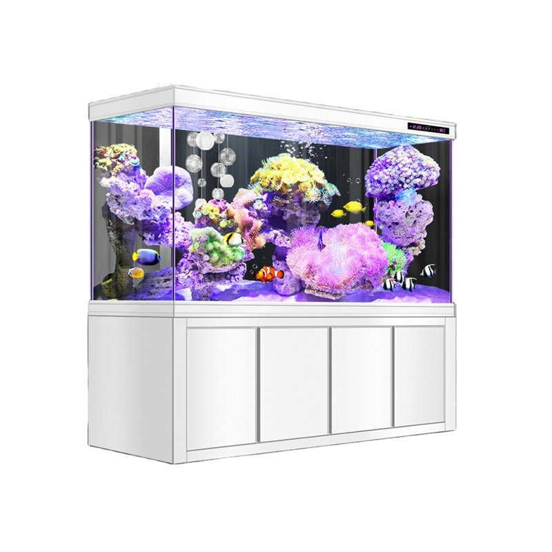 Réservoir d'aquarium rectangulaire moderne et minimaliste, H 60 po x l 78,7 po x P 15,7 po, Blanc
