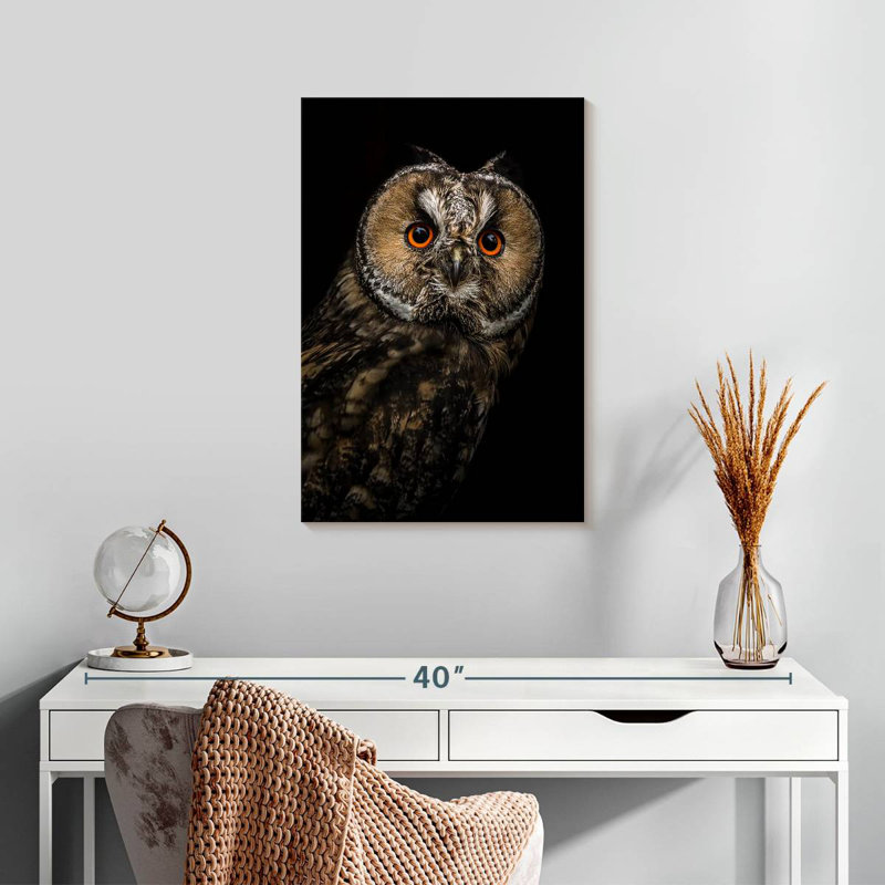 Brampt Eurasian Owl, 24" H x 16" W