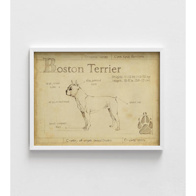 Vintage Boston Terrier Print, Framed Dog Wall Decor, Alay Poster Print, Cute Alay Print, Terrier Poster Art Print, Framed Wall Art