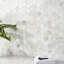 Alaska White Penny Round Polished Marble Tile