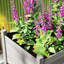 Grande boîte à fleurs surélevée, lit de jardin surélevé en bois avec pieds, doublure de lit et trous de drainage