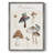 Mushroom Chart Framed Print - Solid Wood-1437885046