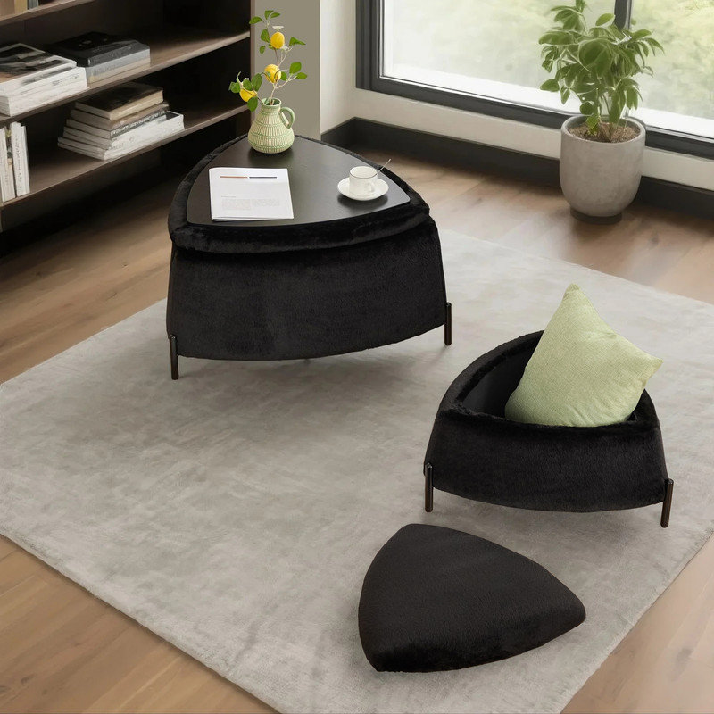 2-Piece Storage Ottoman Set Versatile Footrest, Shoe Bench & Side Table, Black