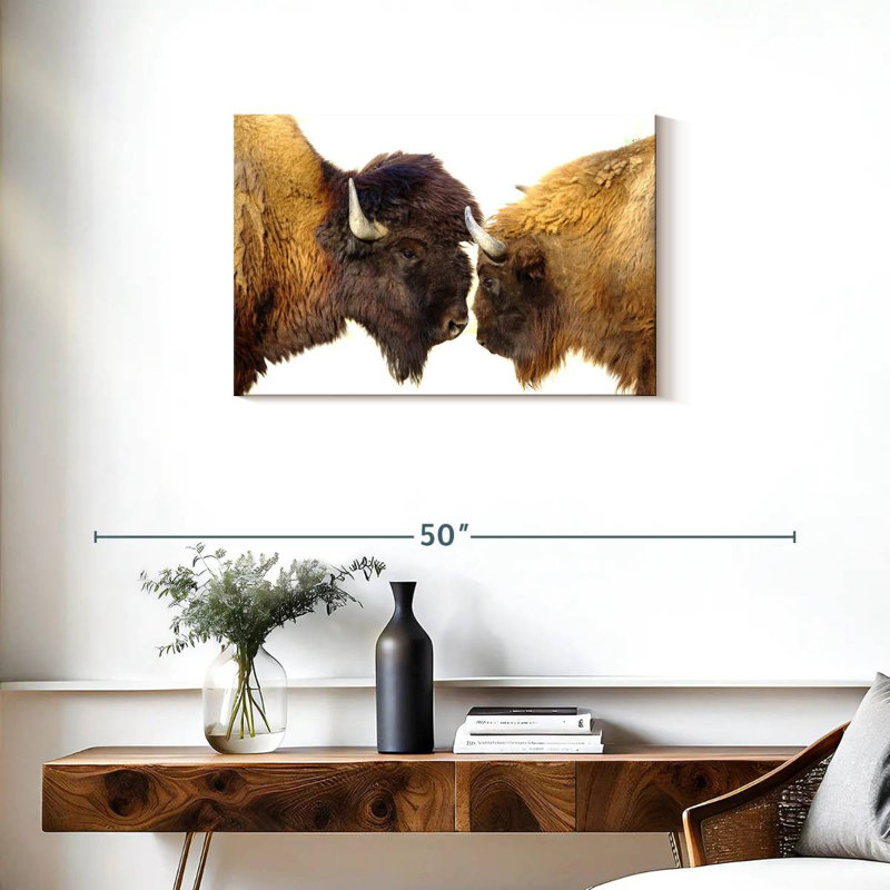 Bramison Bisons I, H 20 po x l 30 po