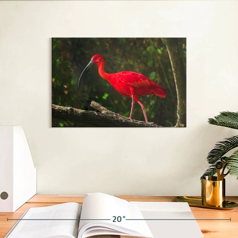 Brampt Red Ibis Bird, 8" H x 12" W