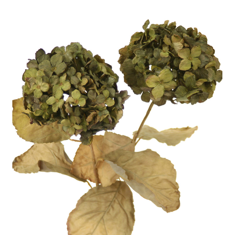 BRICOLAGE fleur artificielle hortensia éternelle avec 3 pétales