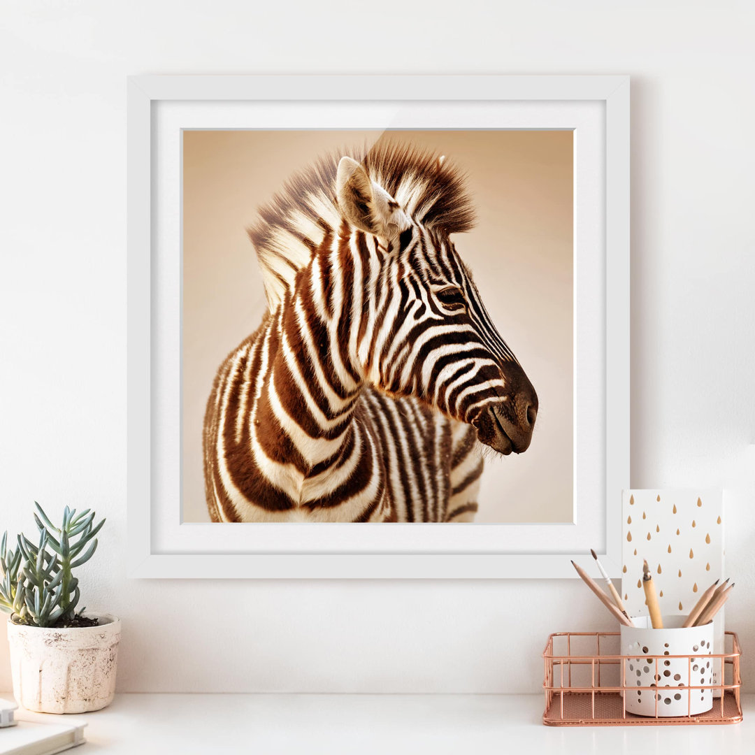 Gerahmtes Papierbild Zebra Baby Portrait