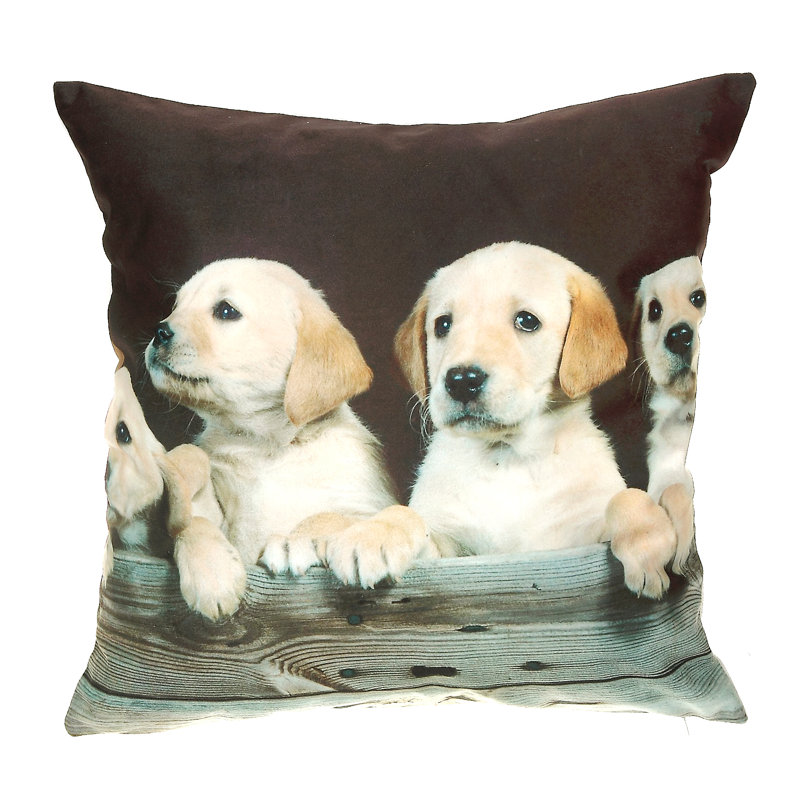 Coussin en velours St. Charles Labs