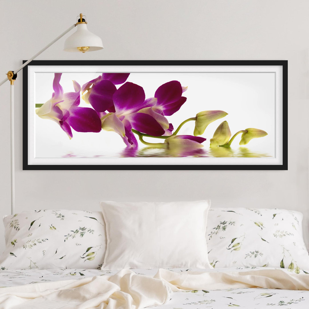 Gerahmtes Poster Pink Orchid Waters