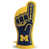 Michigan Wolverines