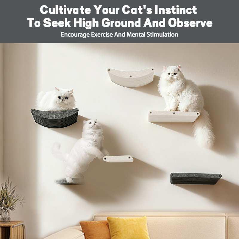 Étagères murales pour chat Mobilier pour animaux de compagnie pour chats, système mural d'escalade en PET pour grimper, jouer et se reposer (beige)