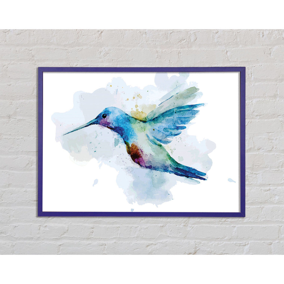 Hummingbird Splash - Einzelner Bilderrahmen Kunstdrucke