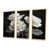 Toile naturelle avec cadre flottant