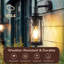 20.5cm H Outdoor Wall Lantern