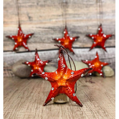 Set Of 6 Starfish Sea Stars Ocean Marine Wall Hanging Decor Tree Ornaments