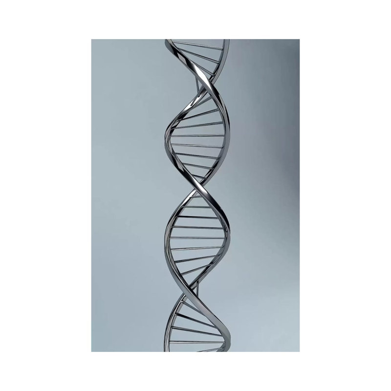 «Conceptual Image of ADN I» par Stocktrek Images - impression sur toile tendue, H 18 po x l 12 po x P 1,5 po