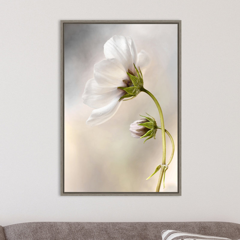 « Heavenly cosmos » par Mandy Disher-reproduction de photo sur toile encadrée