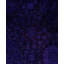 Overdyed One-of-a-Kind 9' 1" X 18' 1" Hand Knotted Area Rug