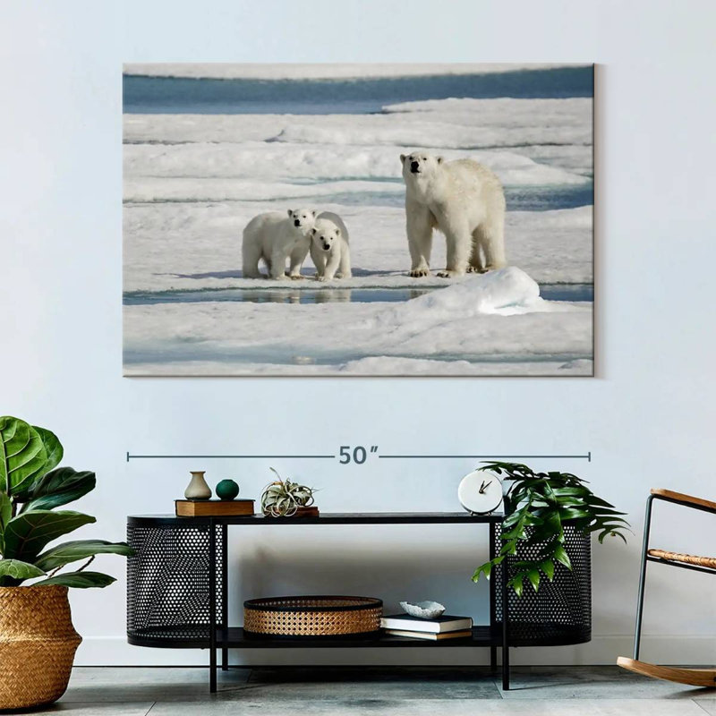 Brampt Longyearbyen Polar Bears