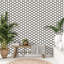Papier peint adhésif mosaïque pétoncles-2120625550-2031134902
