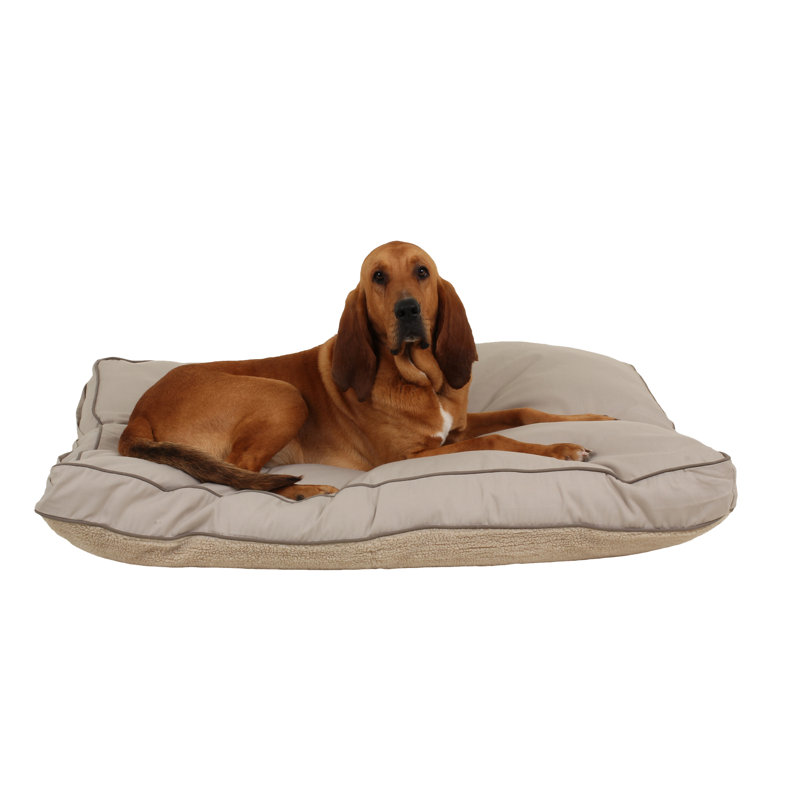 Lit réversible quatre saisons pour animaux avec housse amovible, Très grand (l 48 po x P 36 po x H 4 po), Kaki