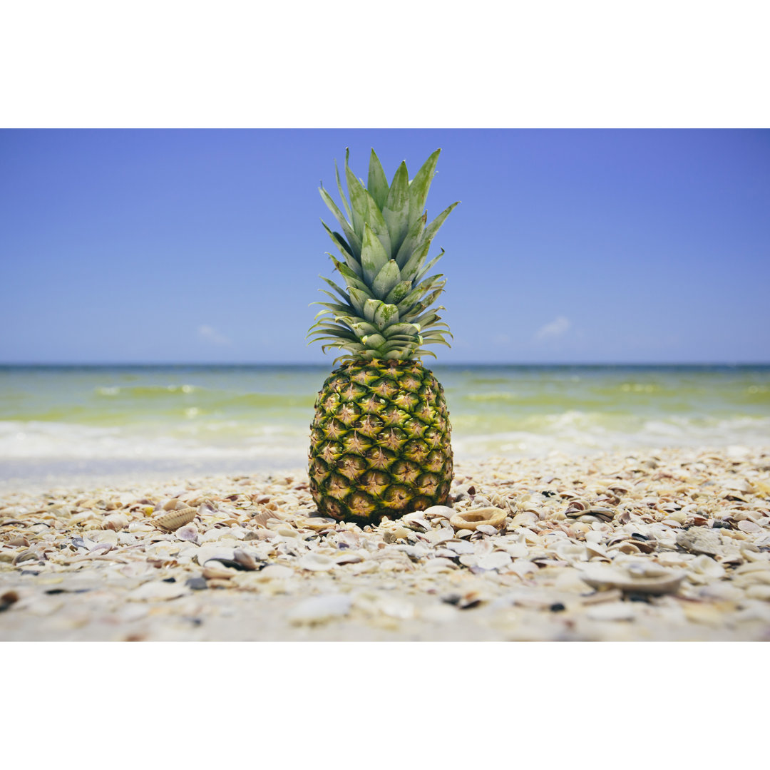 Leinwandbild Südflorida Ananas II