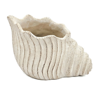 11.5X7x7 Inches Sand And Cement Shell Planter To Bring A Coastal Atmosphere Your Lounge