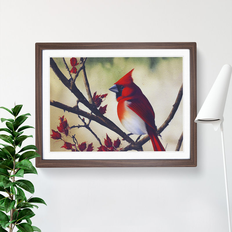 Watercolour Cardinal Bird Vol.5 - Framed Print, Walnut Framed, 25cm H x 34cm W x 2cm D
