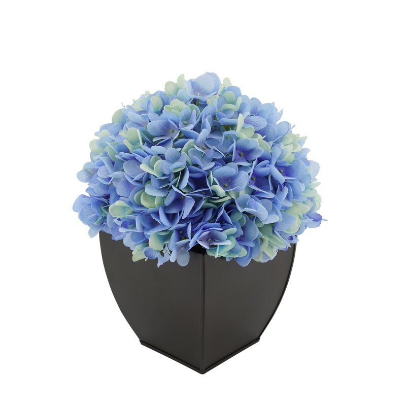 Arrangement d'hortensias en prune, Prune, Noir