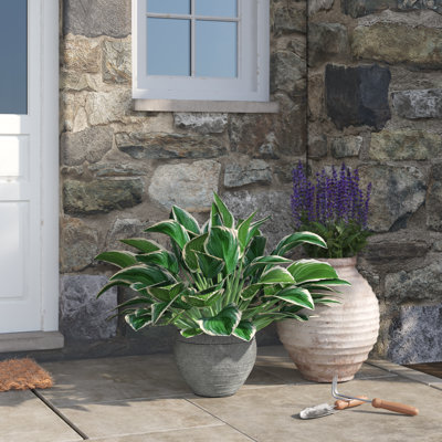 Round Ribbed Magnesium Oxide Pot Planter with Drainage Hole