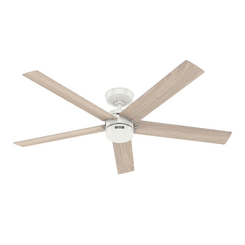 52" Burton 5-Blade Standard Ceiling Fan with Wall Control