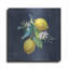 August Grove® «Lemon Branches 2» par Danhui Nai, art mural en métal-2019011903