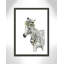 «Savannah Zebra», art encadré-47533411-47566039