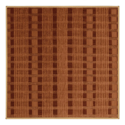 Machine Washable Checkered Brown Area Rug