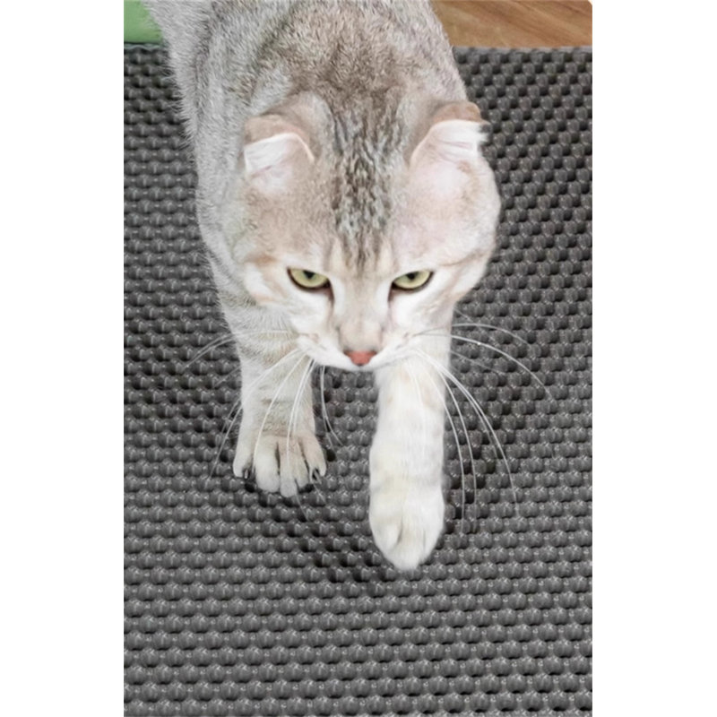 Tapis de litière en plastique, H 0,3 po x l 11,81 po x P 11,81 po
