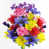 Fuchsia / bleu est en rupture de stock