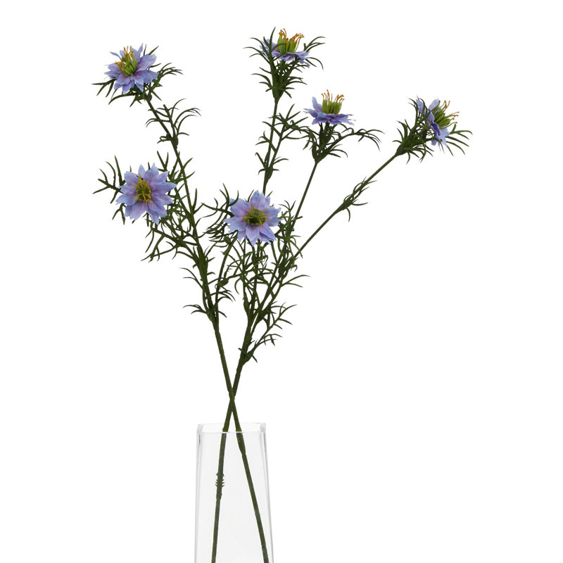 Anastasija Arrangement, Purple