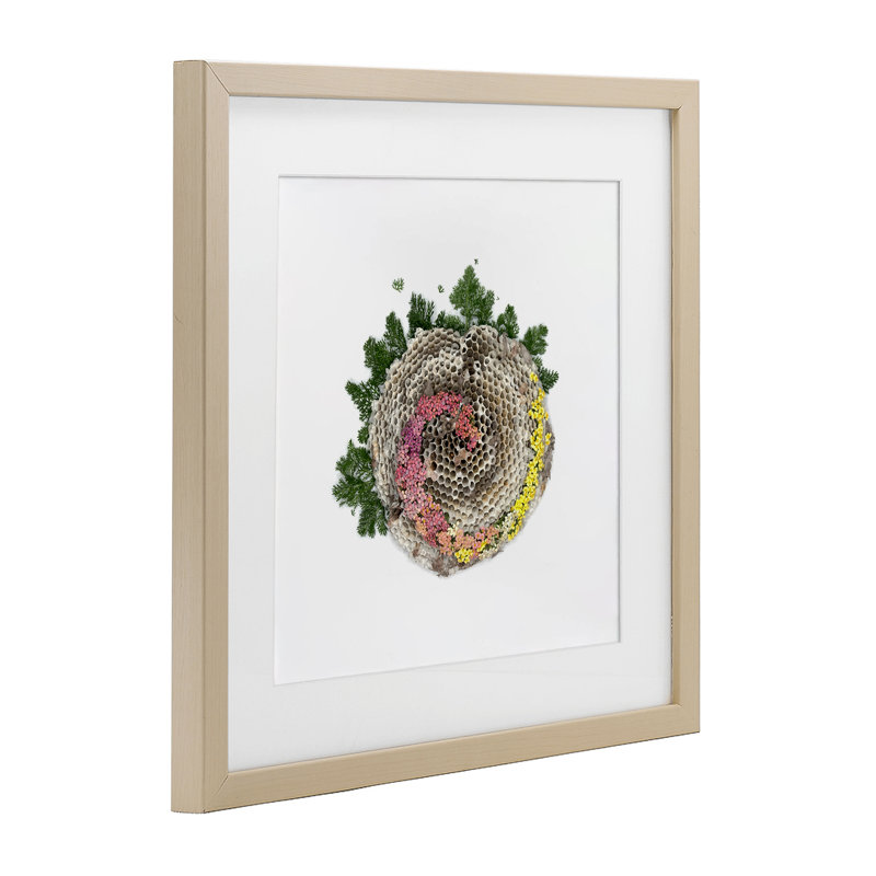 «Honeycomb with Botanicals», reproduction encadrée sous verre, conception de Beth Adoette, Récolte de pin sous cadre en verre