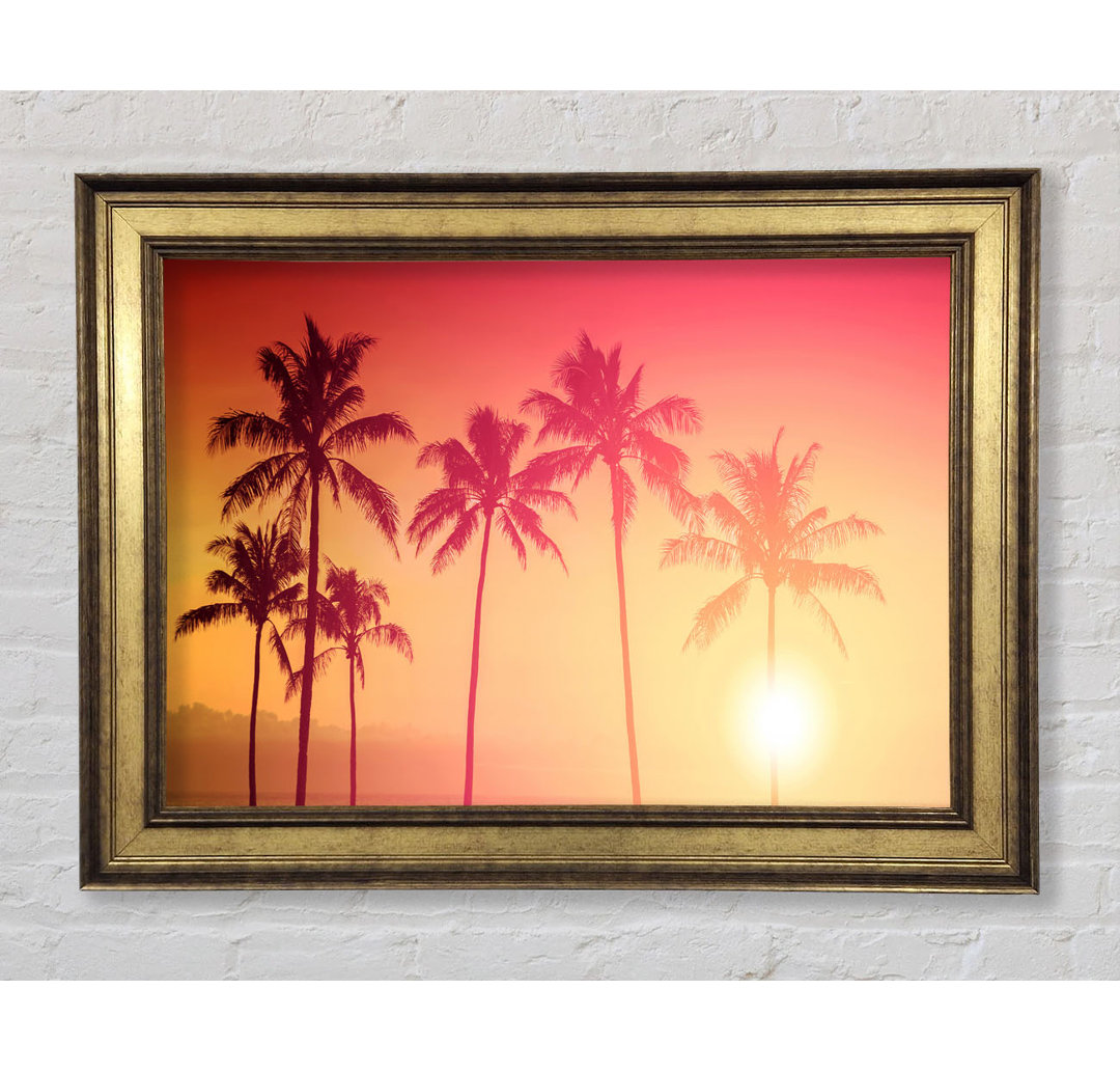 Palm Tree Haze - Bilderrahmen Kunstdrucke