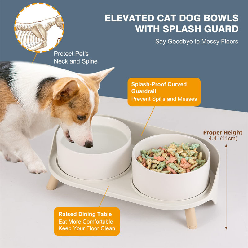 Anti-Skid Elevated Feeder