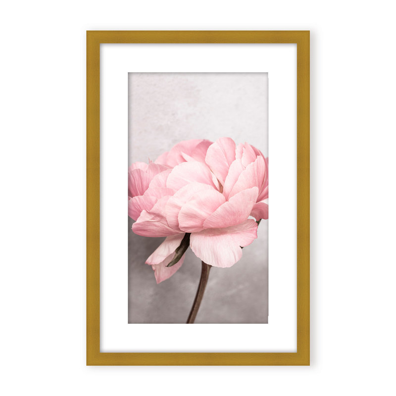 Nature Inspired Peony by  - Picture Frame Photograph on Paper, 48" H x 32" W x 1.125" D, Black, Framed Matted Print